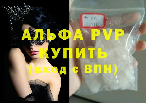 крисы Баксан