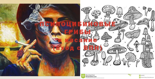 крисы Баксан