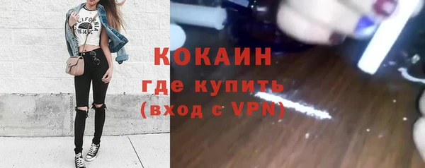 крисы Баксан