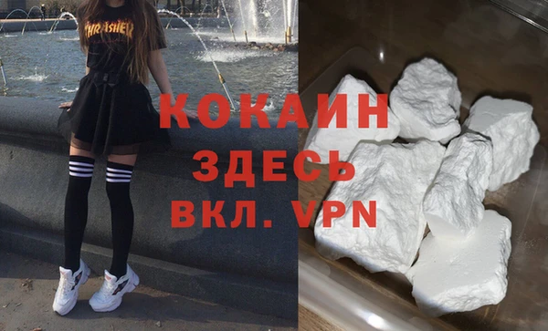 крисы Баксан