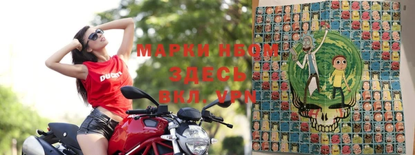 крисы Баксан