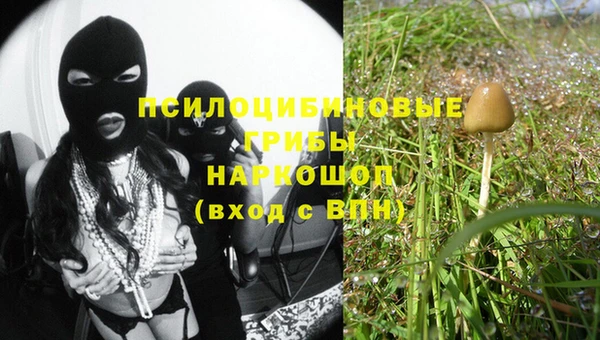крисы Баксан