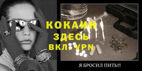 крисы Баксан
